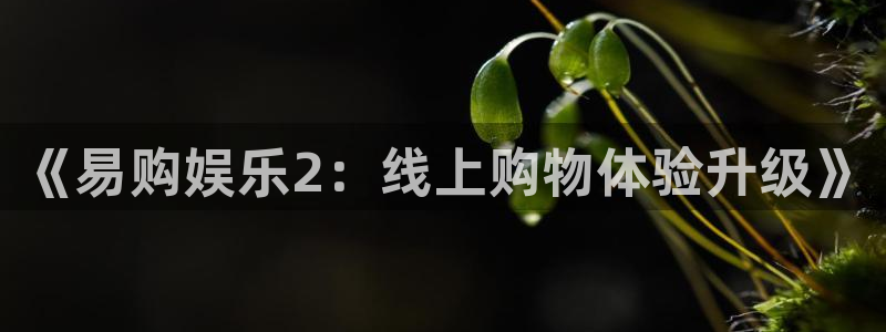 天辰娱乐下载：《易购娱乐2：线上购物体验升级》