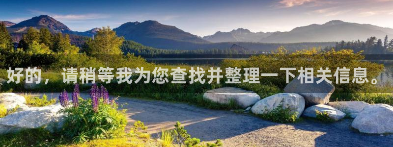 天辰平台：好的，请稍等我为您查找并整理一下相关信息。