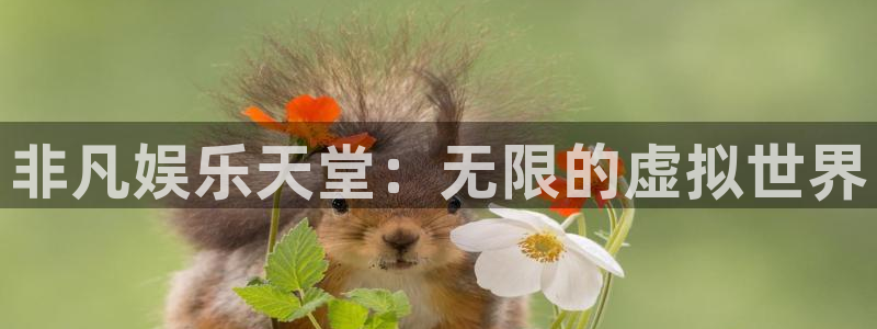 天辰娱乐下载：非凡娱乐天堂：无限的虚拟世界