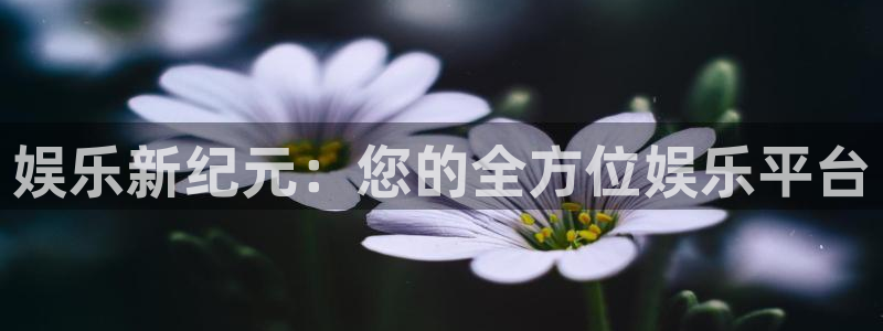 天辰平台：娱乐新纪元：您的全方位娱乐平台