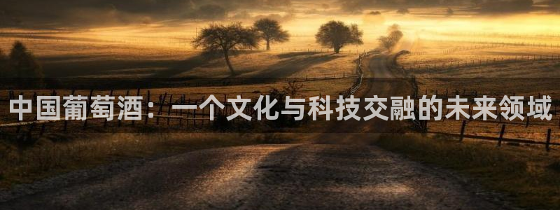 天辰娱乐注册：中国葡萄酒：一个文化与科技交融的未来领域