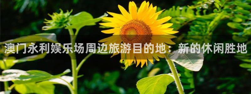天辰平台：澳门永利娱乐场周边旅游目的地：新的休闲胜地