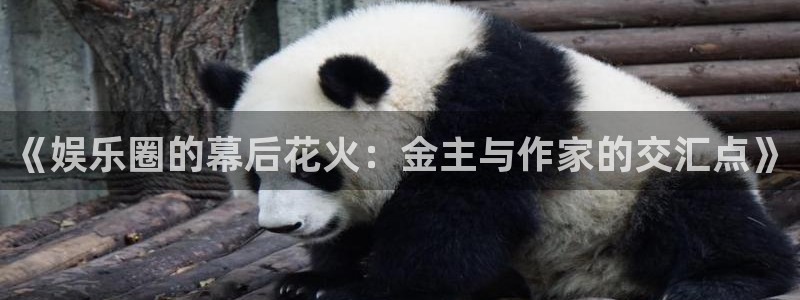 天辰娱乐注册：《娱乐圈的幕后花火：金主与作家的交汇点》