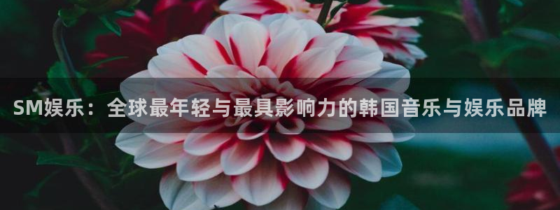 天辰娱乐注册：SM娱乐：全球最年轻与最具影响力的韩国音乐与娱乐品牌